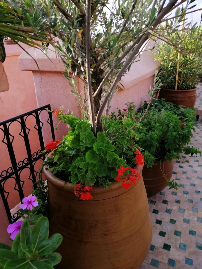 Riad Aventurine Marrakesh Bagian luar foto